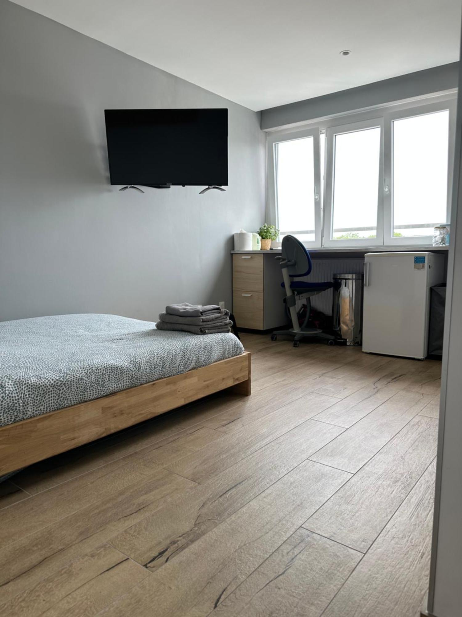 Ferienwohnung Super Studio En Face De La Gare De Mülhausen Exterior foto